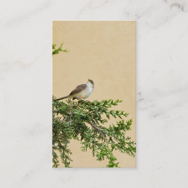 Sparrow Postcard Place Card (Front)