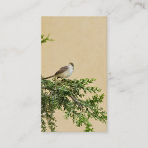 Sparrow Postcard Place Card