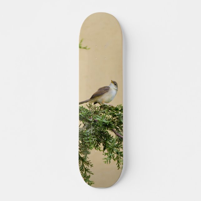Sparrow Postcard Skateboard (Front)