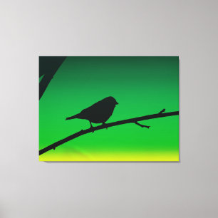 Sparrow Silhouette On Limonene Canvas Print