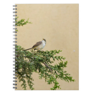Sparrow Spiral Notebook