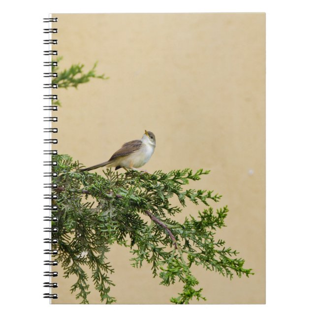 Sparrow Spiral Notebook (Front)