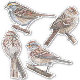 Sparrow Stickers Value Pack