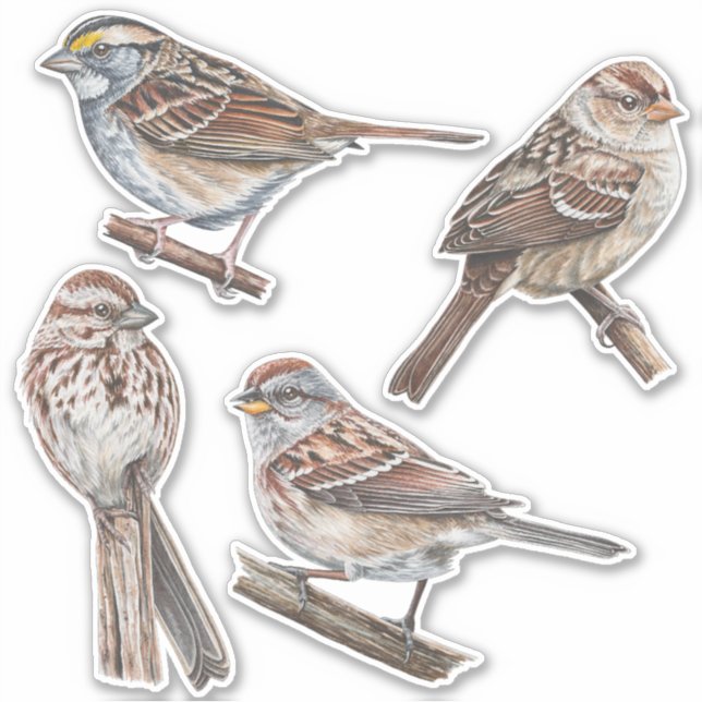 Sparrow Stickers Value Pack (Front)