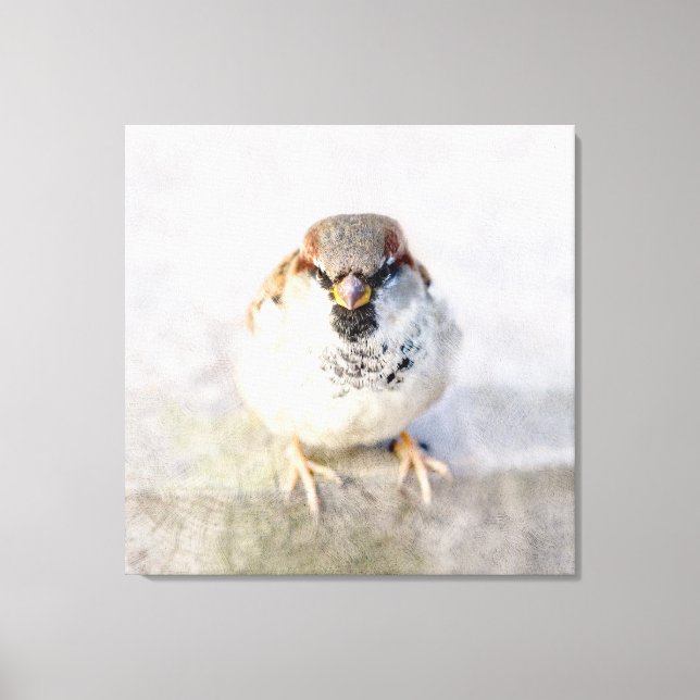 Sparrow - The Warrior Canvas Print (Front)