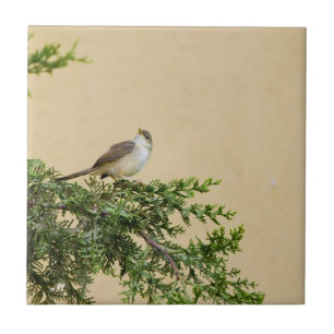 Sparrow Tile