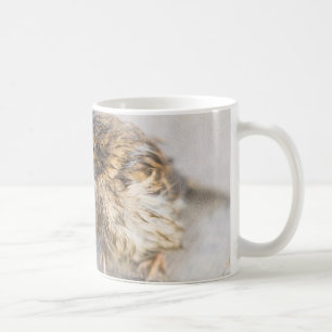 Sparrow - Weather Forecast Epic Fail Coffee Mug