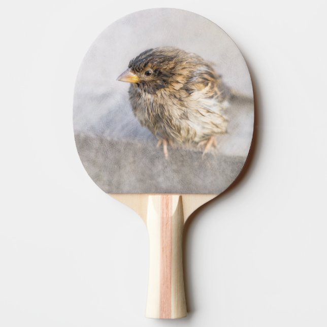 Sparrow - Weather Forecast Epic Fail Ping Pong Paddle (Back)