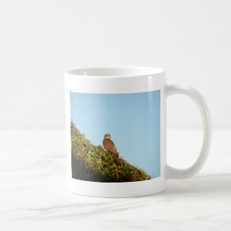 Sparrowhawk Coffee Mug