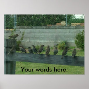 Sparrows Birds on a Rail Your Words Posters