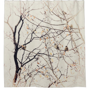 Sparrows in Tree Branches Neutral Nature Shower Curtain