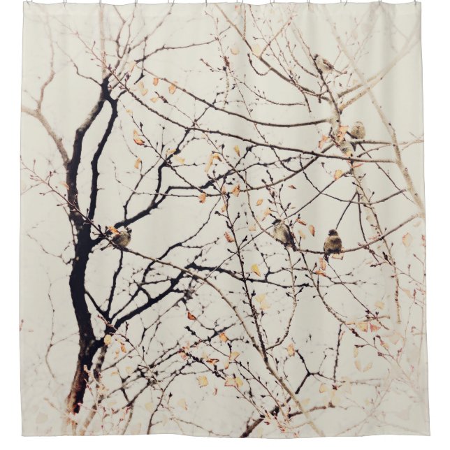 Sparrows in Tree Branches Neutral Nature Shower Curtain (Front)