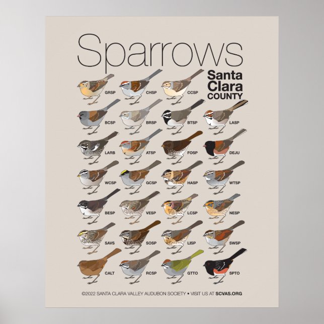 Sparrows of Santa Clara County Poster (Front)