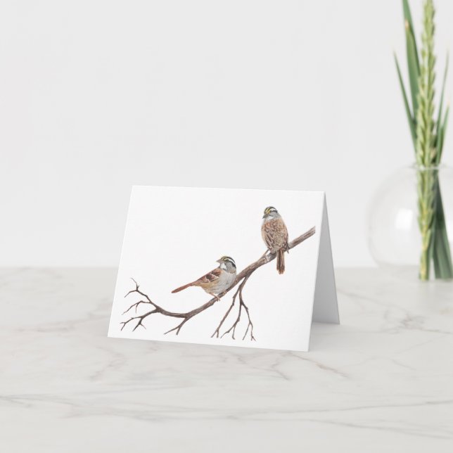 Sparrows on a Branch Note Card (Front)