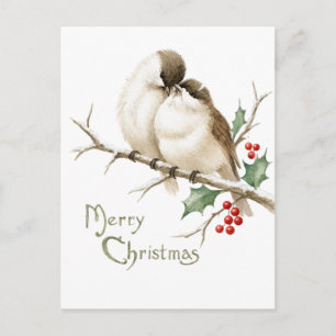 Sparrows on a Christmas Branch Postcard