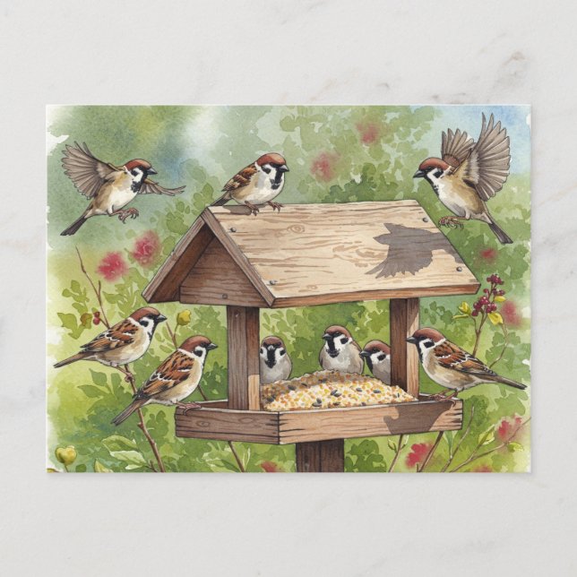 Sparrows with bird feeder Postcard (Front)