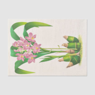 Spathoglottis Plicata (Orchid), Jean Jules Linden Tissue Paper