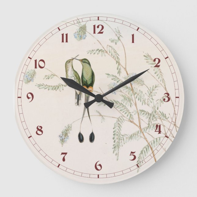 Spathura Peruana Hummingbirds by John Gould Large Clock (Front)