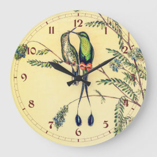 Spathura peruana (Peruvian Racket-Tail) Birds Large Clock