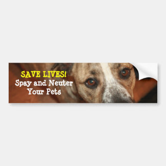 Spay and Neuter! Bumper Sticker