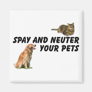 Spay and Neuter Magnet