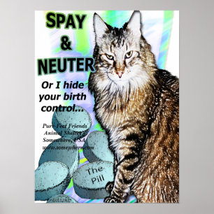 Spay and Neuter (Or I hide your birth control) Poster