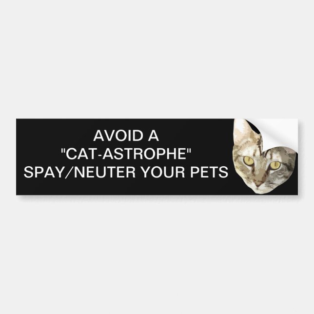 Spay/Neuter Bumper Sticker (Front)
