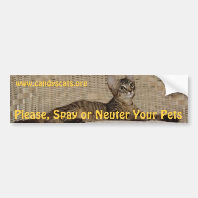 Spay or Neuter Your Pets Bumper Sticker (Front)