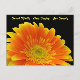 Speak Kindly Gerbera Postcard