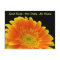 Speak Kindly Gerbera Postcard