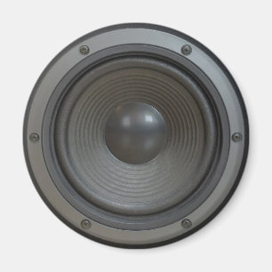 speaker magnet
