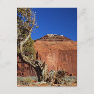 Spearhead Mesa At Monument Valley Postcard