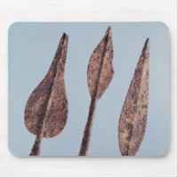 Spearheads