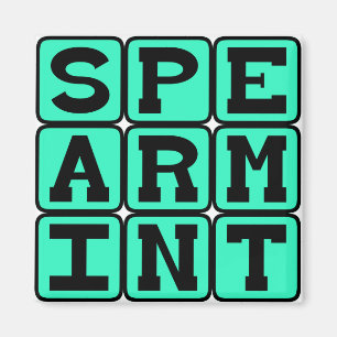 Spearmint, Gum Flavour Magnet
