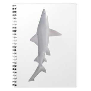 Speartooth Shark Notebook