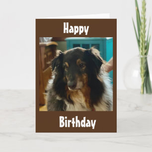 SPECIAL BIRTHDAY WISHES FROM A SPECIAL PUPPY CARD