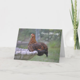 Special Chicken Birthday Card