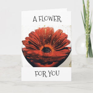 "SPECIAL CHRISTMAS GIFT" UNDER THE MISTLETOE FOR U CARD