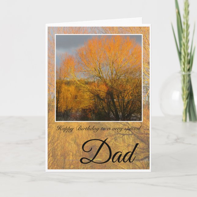 Special Dad Birthday,  Sunkissed Winter Trees. Card (Front)