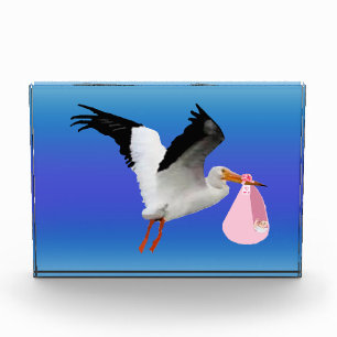Special Delivery 2 Photo Block