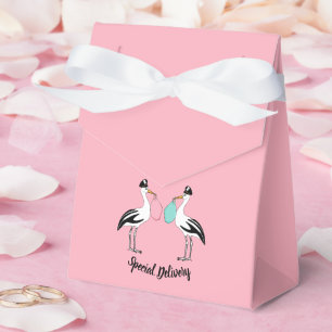 Special Delivery Baby Reveal Party Favour Boxes