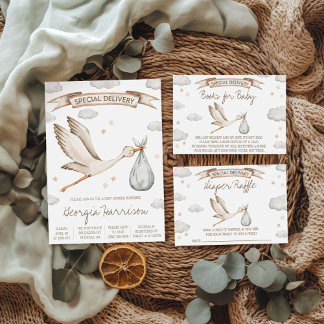 Special Delivery! Brown & Tan Stork Books for Baby Enclosure Card