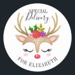 Special Delivery Christmas Cute Reindeer Face Classic Round Sticker<br><div class="desc">A cute reindeer face decorates this sticker with the words Special Delivery. Fun for decorating your girl's Christmas gifts. Personalise it with the name of your choice. Designed for you by Blackberry Boulevard.</div>
