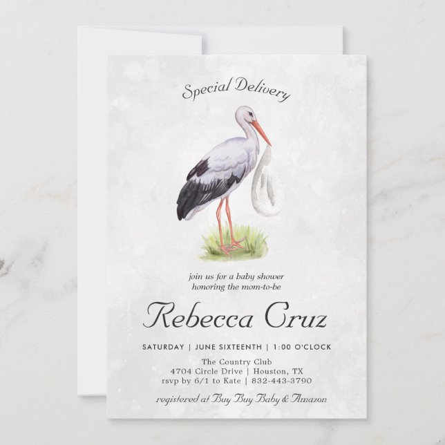 Special Delivery | Elegant Watercolor Stork Baby (Front)