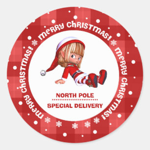 Special Delivery from North Pole Christmas Sticker