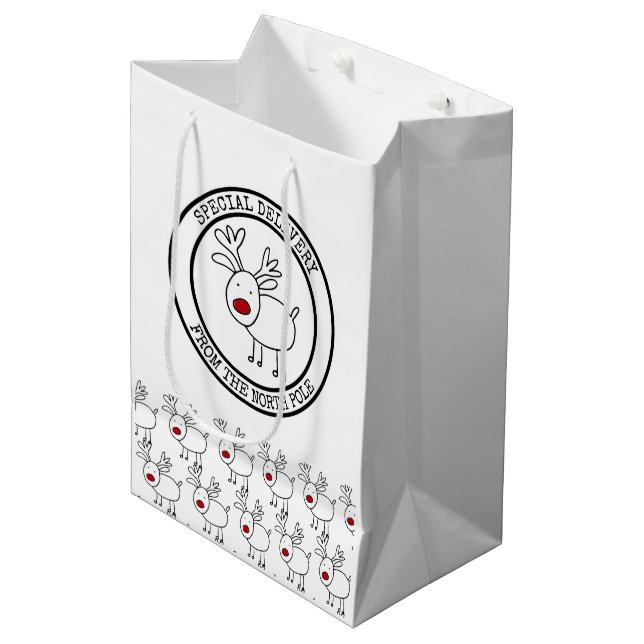 Special Delivery from North Pole Kids Christmas Medium Gift Bag (Front Angled)