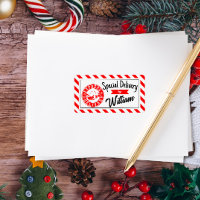 Special delivery from santa Christmas gift