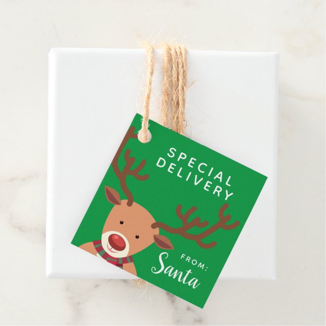 Special Delivery From Santa Favour Tags (In Situ)