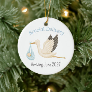 Special Delivery Stork Baby Boy Announcement Ceramic Tree Decoration