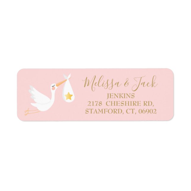 Special Delivery Stork Baby Pink Return Address (Front)